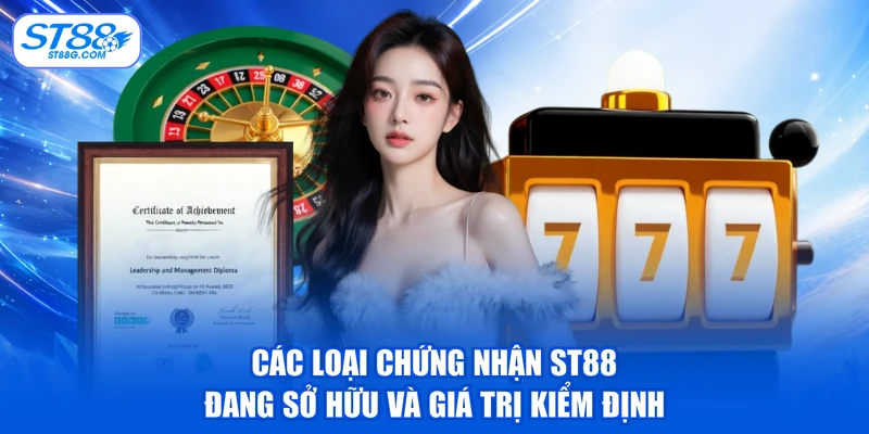 Các loại chứng nhận ST88 đang sở hữu và giá trị kiểm định