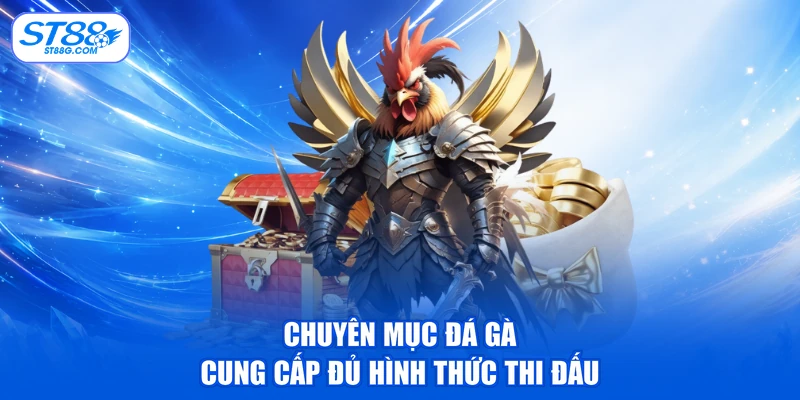 Chuyên mục đá gà cung cấp đủ hình thức thi đấu