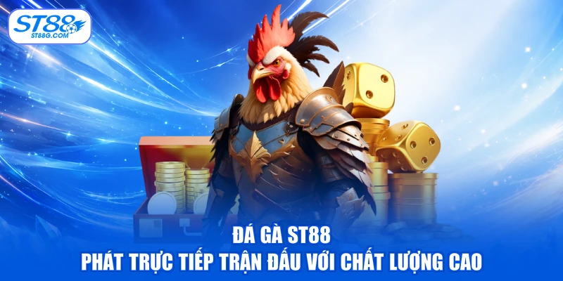 Đá gà ST88 phát trực tiếp trận đấu với chất lượng cao