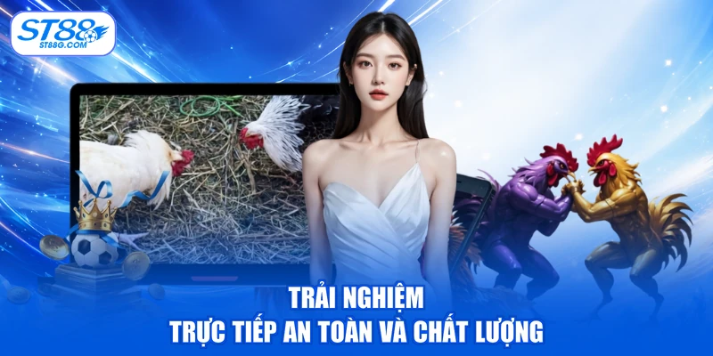 Trải nghiệm trực tiếp an toàn và chất lượng